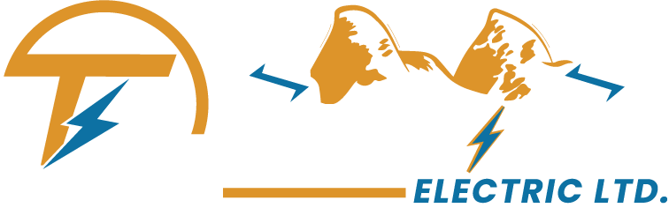 Two Lions Electric LTD