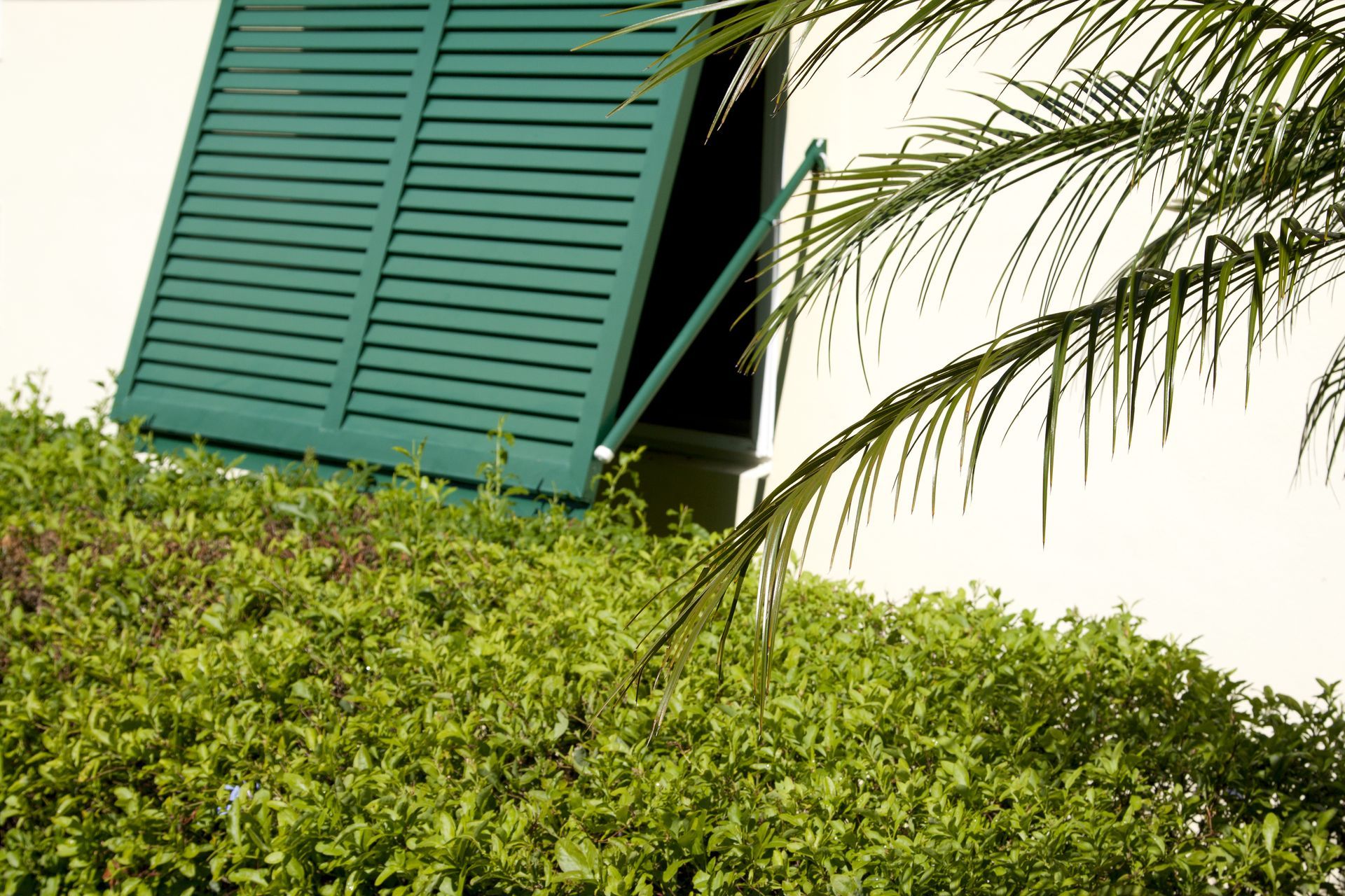 A green window shutter.