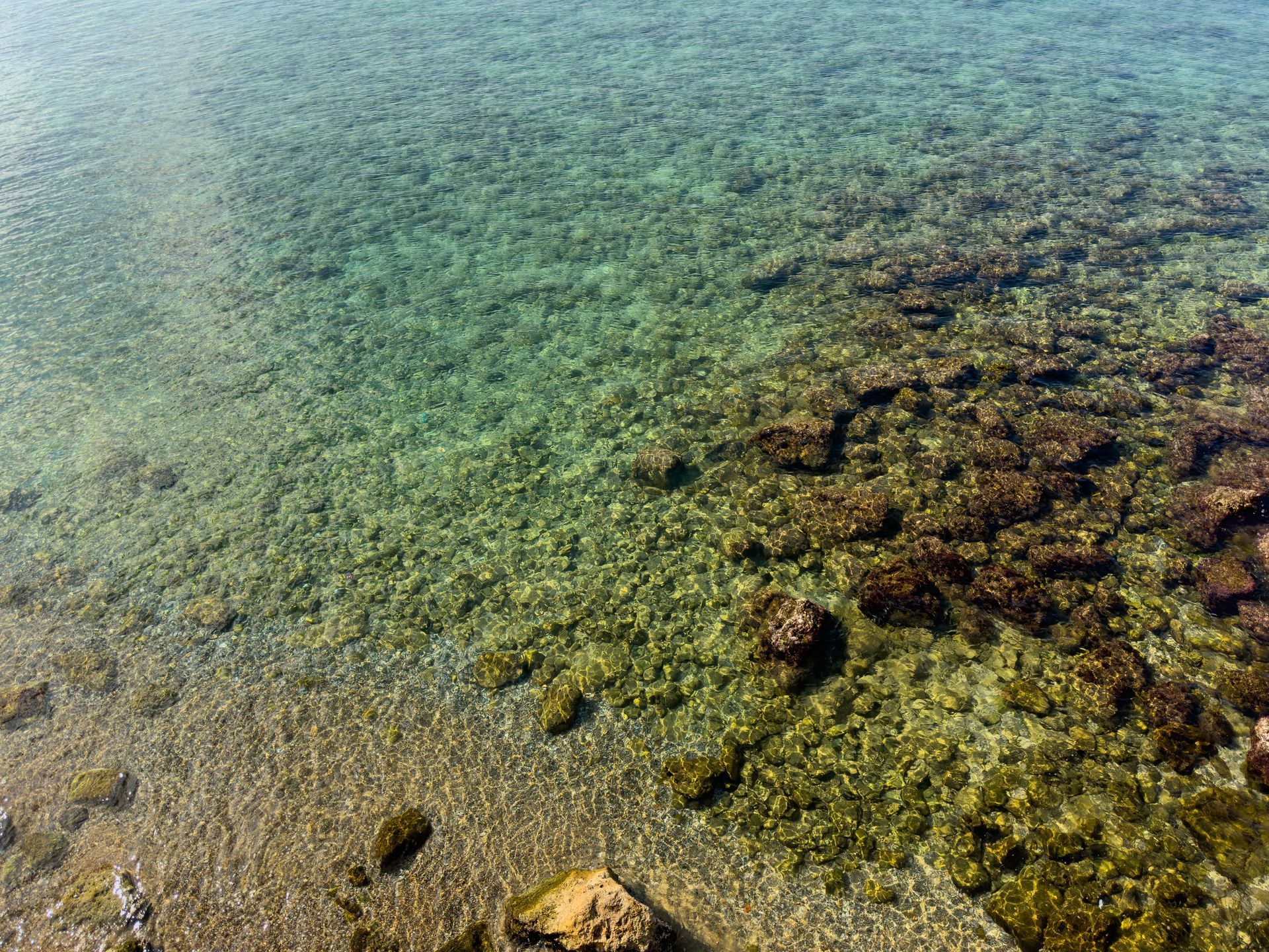 Shallow waterfront with clear water and rocky lake bottom.
