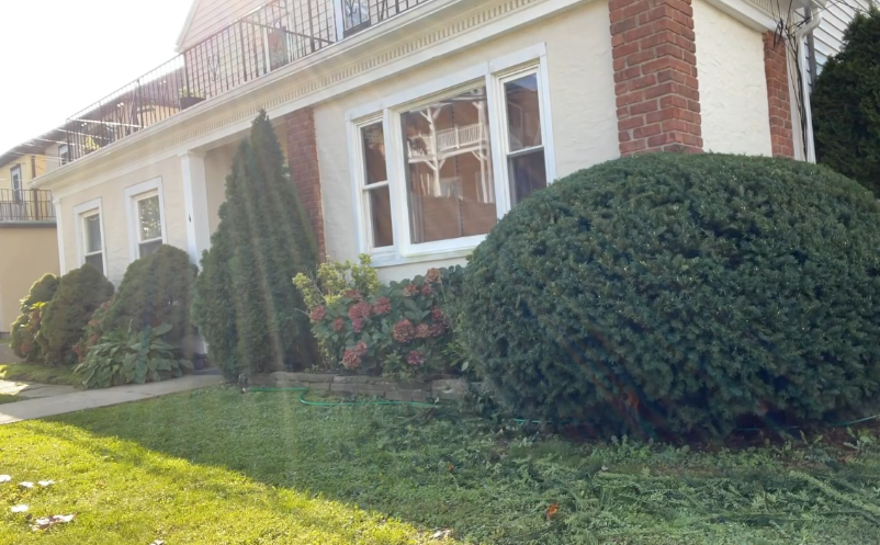 A beige house with a brick corner column and a large, rounded green bush in the front yard.