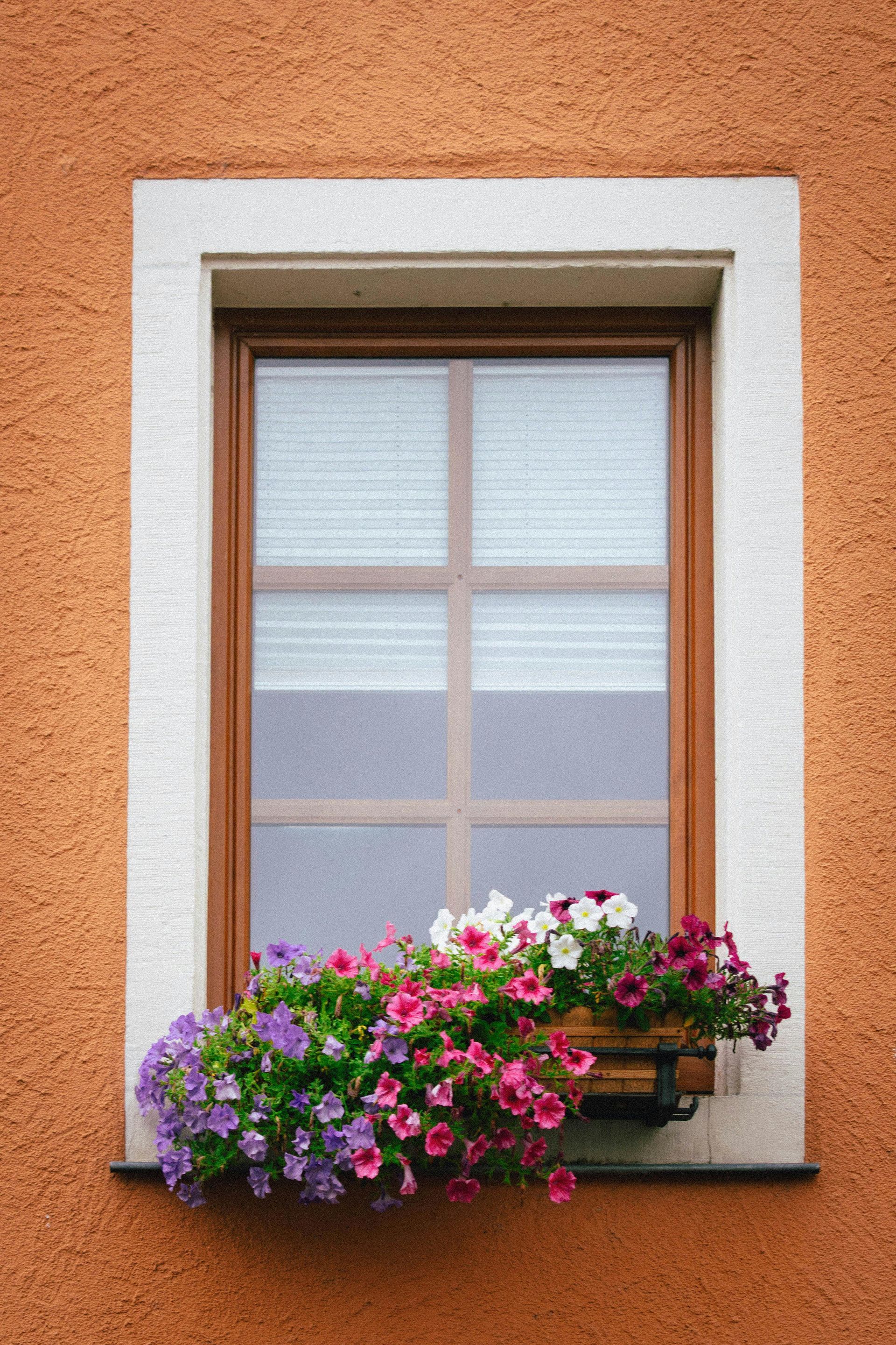 A rectangular window with a brown frame set in a textured orange wall, featuring a window box full of colorful flowers.