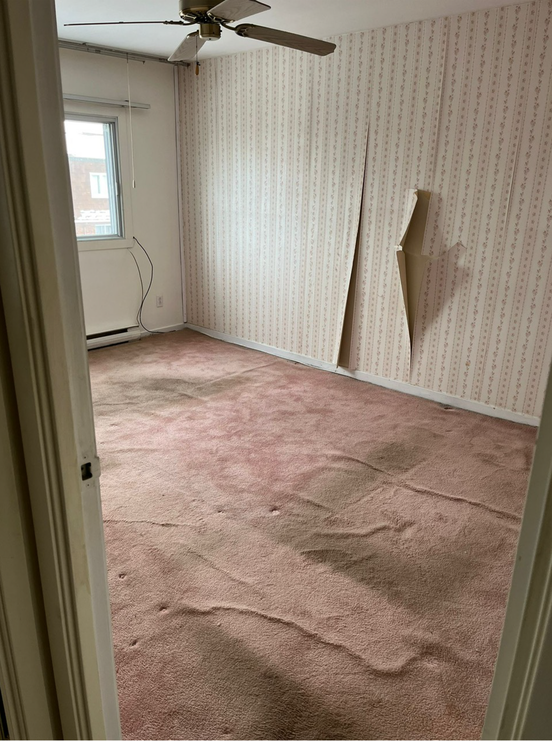 Chambre vide avec moquette rose, papier peint à motifs, ventilateur de plafond et lumière du jour provenant d'une fenêtre.