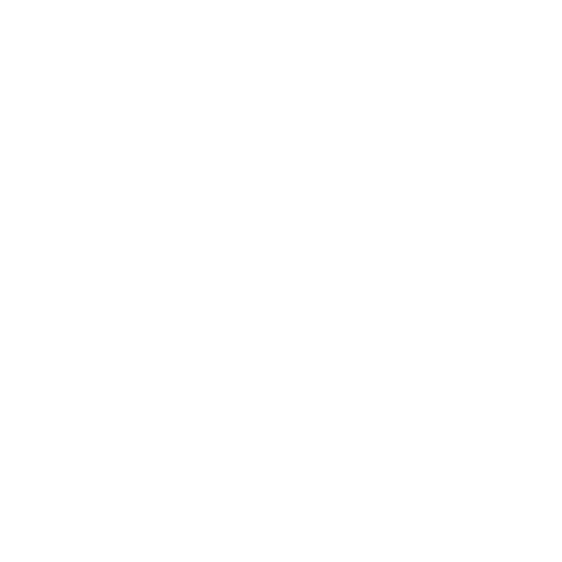dog grooming tools