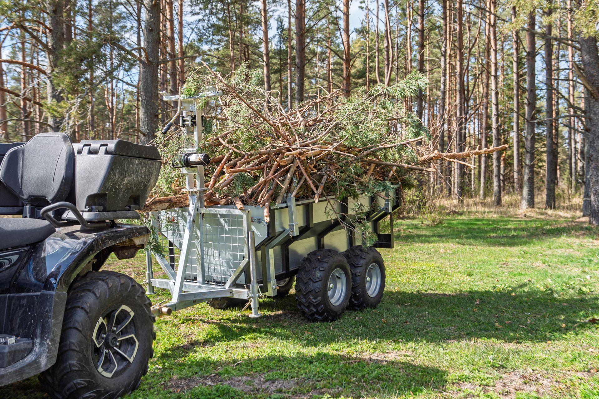 ATV towing a trailer loaded with branches through a grassy forest clearing ATV towing a trailer loaded with branches through a grassy forest clearing