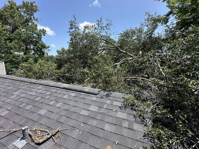 Roof shingles with a fallen branch, overlooking leafy trees under a blue sky Roof shingles with a fallen branch, overlooking leafy trees under a blue sky