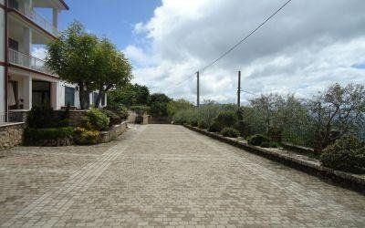Cortile pavimentato accanto a una casa, con alberi, arbusti e cielo nuvoloso in una tranquilla zona residenziale.