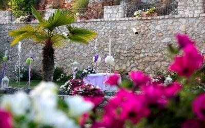 Palma e fiori rosa in un giardino contro un muro di pietra, con i boccioli sfocati in primo piano.