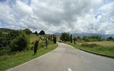 Strada rurale tortuosa che attraversa campi verdi sotto un cielo nuvoloso, con montagne sullo sfondo.