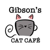 cat cafe