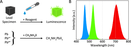 Figure 1 - Concept of photoluminescent lead detection