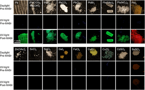 Figure 3 - Chemoselectivity of photoluminescent lead detection