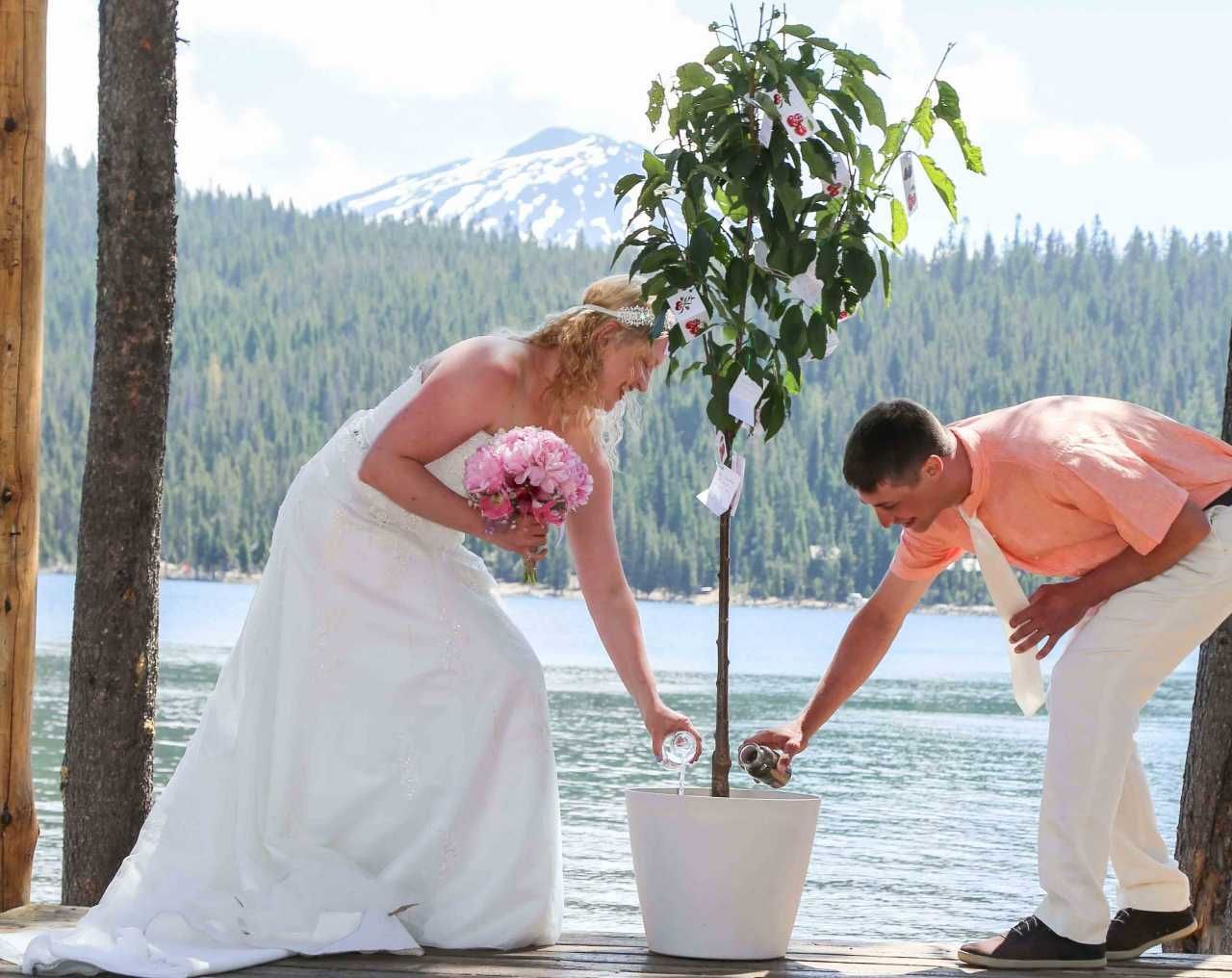 A bride and groom planting a tree in front of a lake