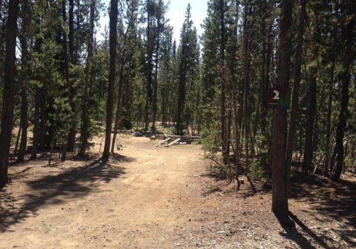 A dirt road in the middle of a forest