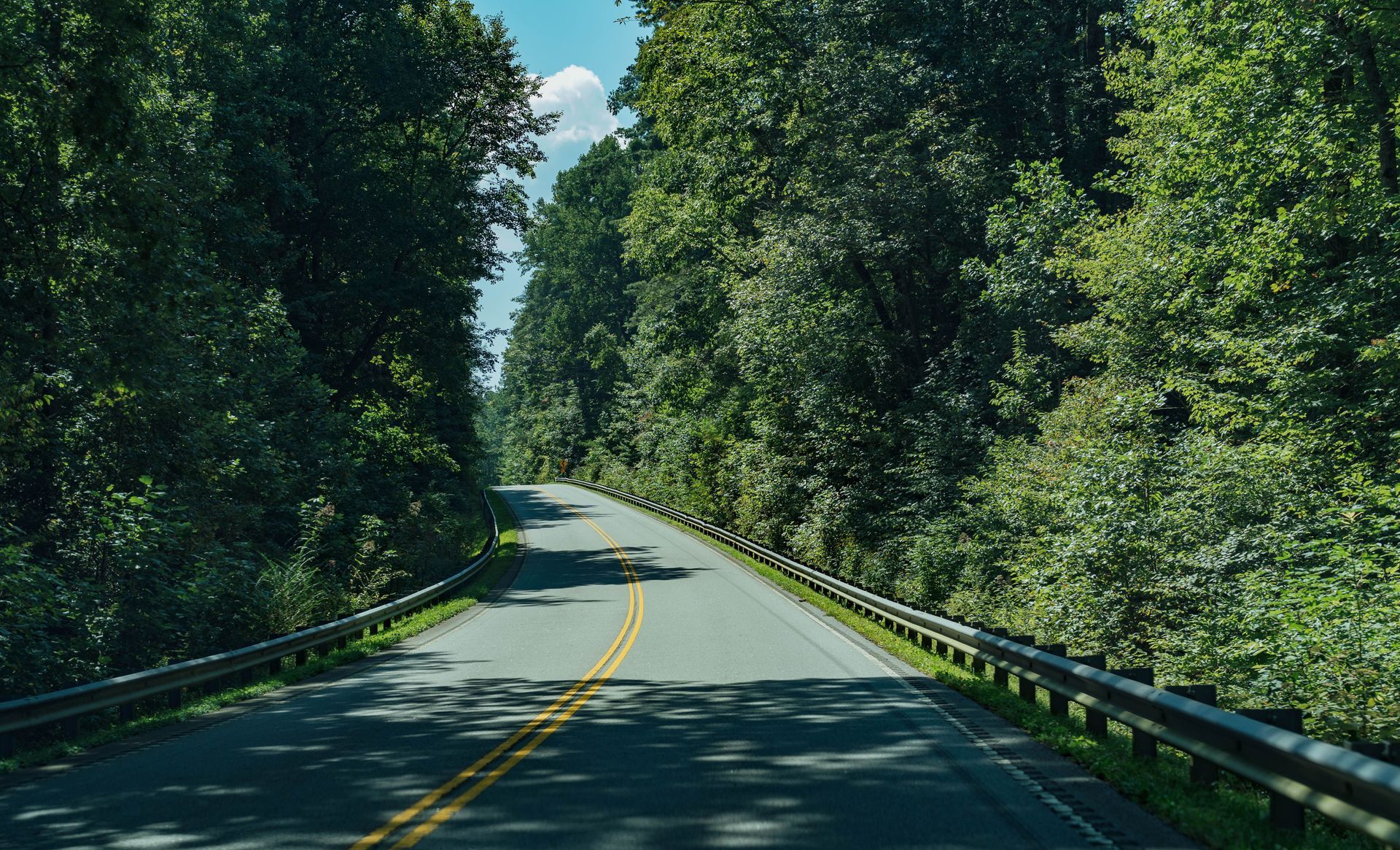 Curving two-lane road through dense green forest under a bright sky
