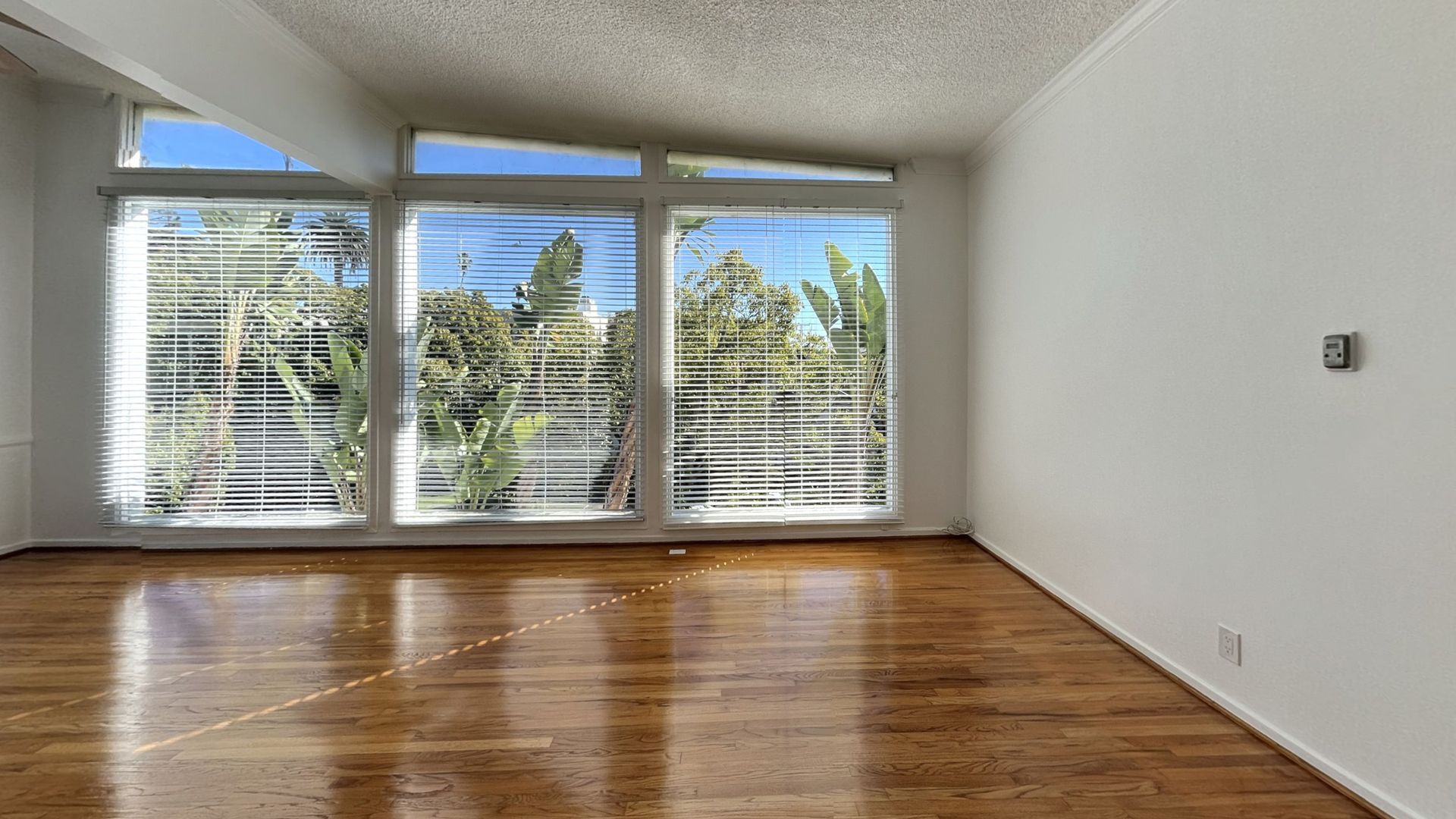 Empty room with large windows overlooking trees. Shiny wooden floor, white walls and ceiling.