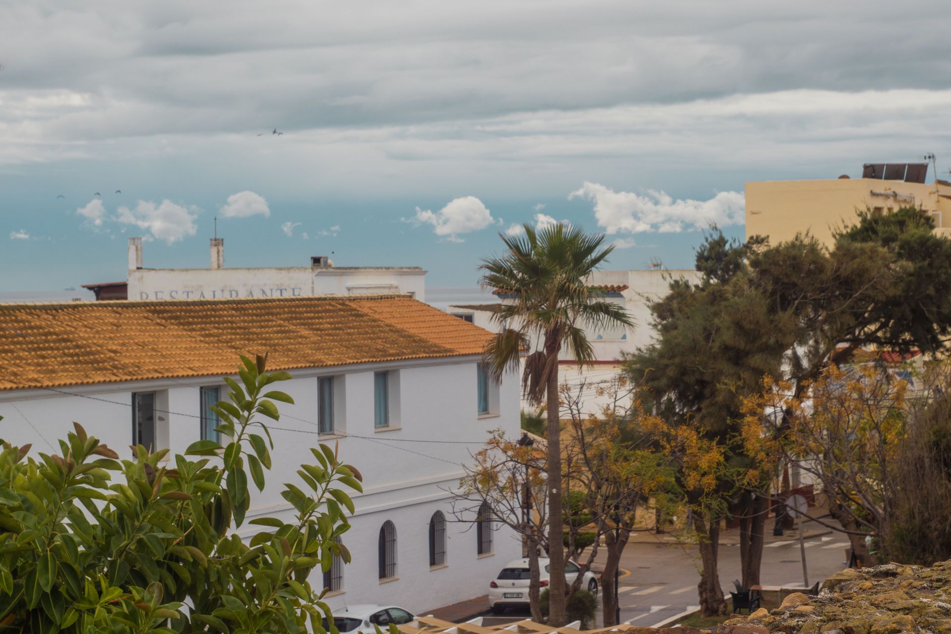 White buildings and palm trees beside a coastal street under a cloudy blue sky