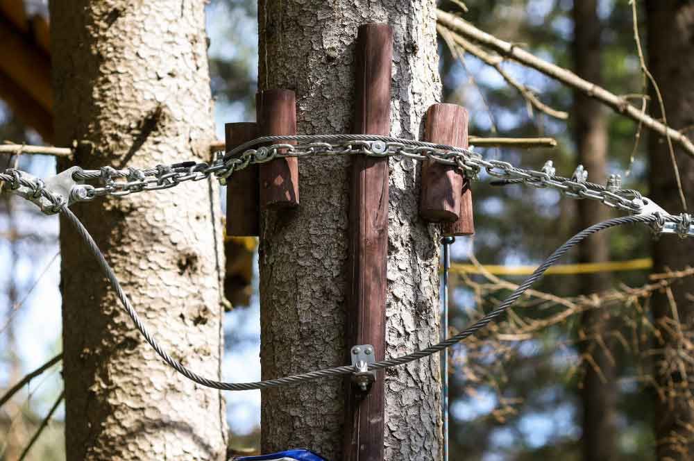 Tree supports in berkeley, MA