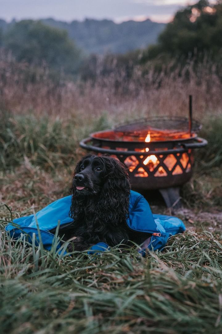 Untitled Image - Dog Friendly Off Grid Apartment Designs