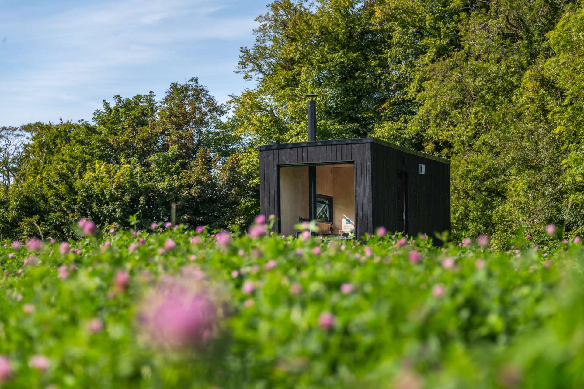 Modern off-grid cabin in Dorset surrounded by wildflowers and green trees.