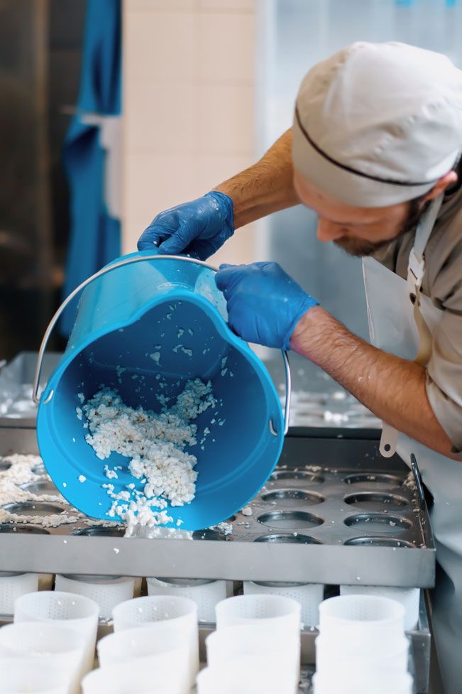 A photo of a cheesemaker pouring fresh cheese into molds