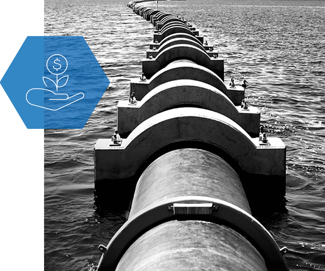 A black and white photo of a row of pipes in the water.