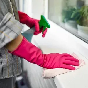 Person wearing pink gloves cleans a windowsill with a cloth and spray bottle.