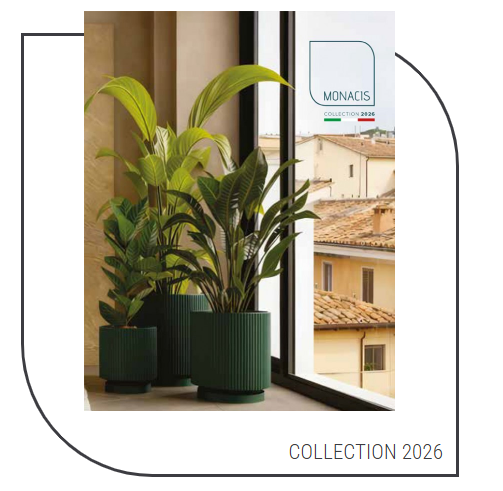 Piante verdi in vaso su un davanzale accanto a una finestra luminosa che si affaccia sui tetti, con la scritta