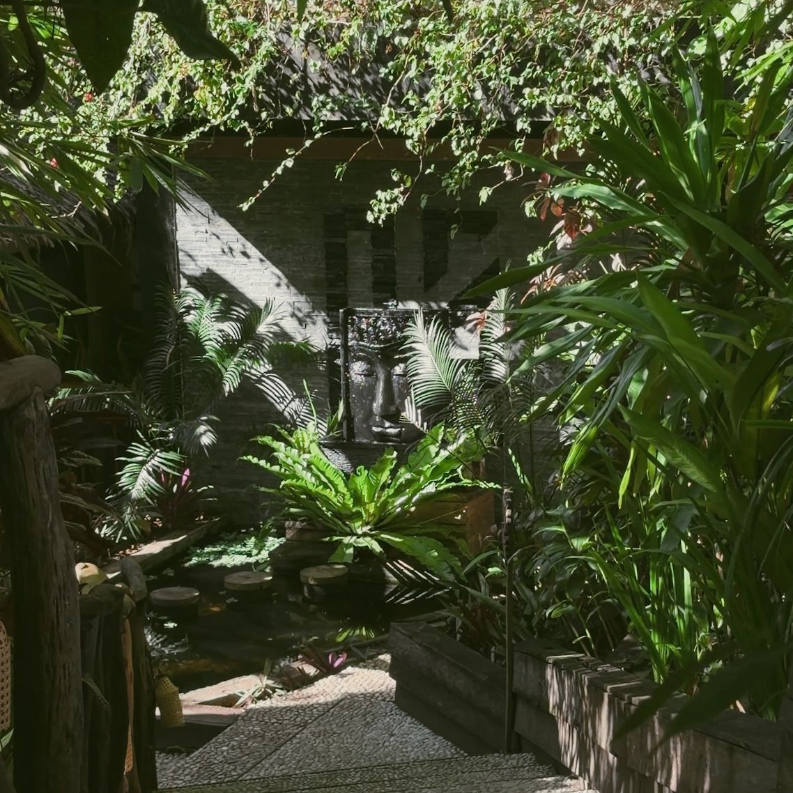 Shaded garden path leading to a small house with dense tropical plants and dappled sunlight