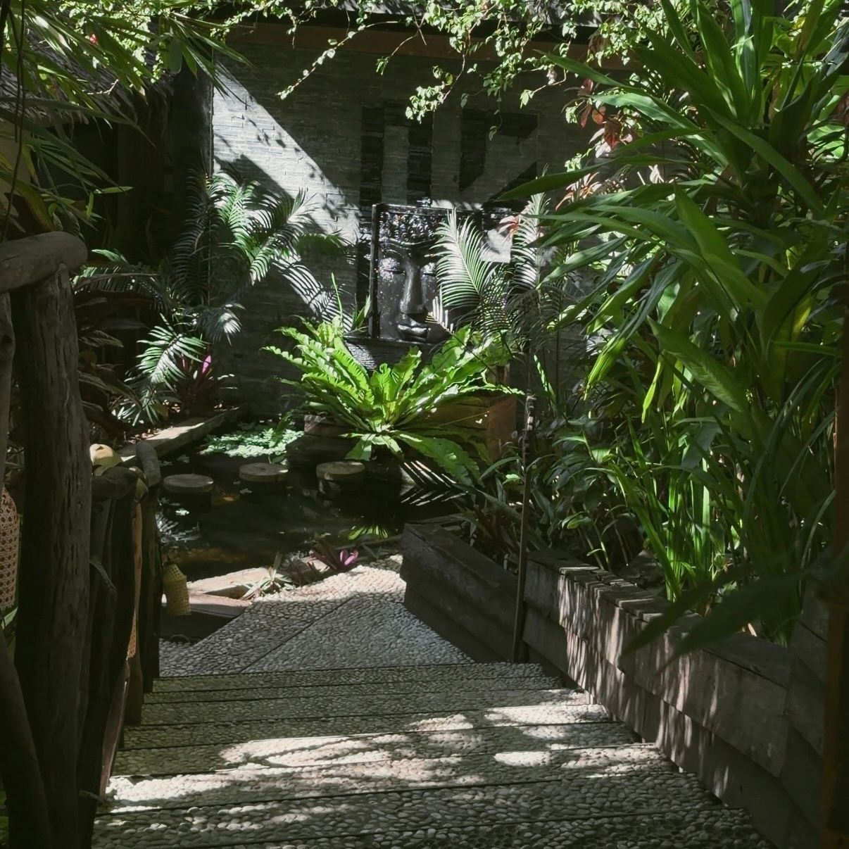 Narrow tropical garden path with lush green plants and stone walls in dappled sunlight
