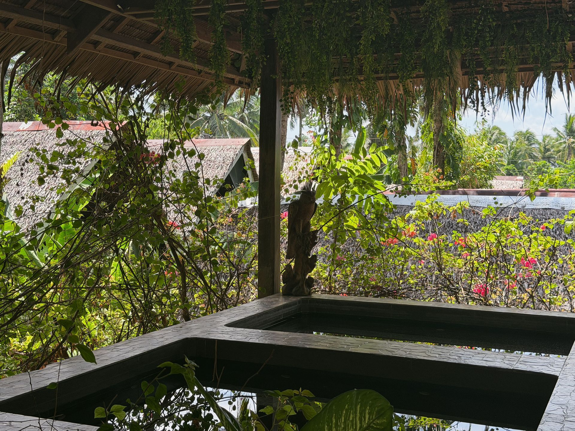 Shaded outdoor patio with a pond, hanging greenery, and bright tropical plants beyond a low wall