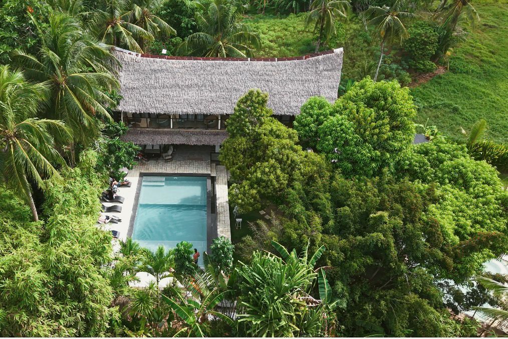 Aerial view of a tropical villa with a pool, surrounded by dense green palm trees.
