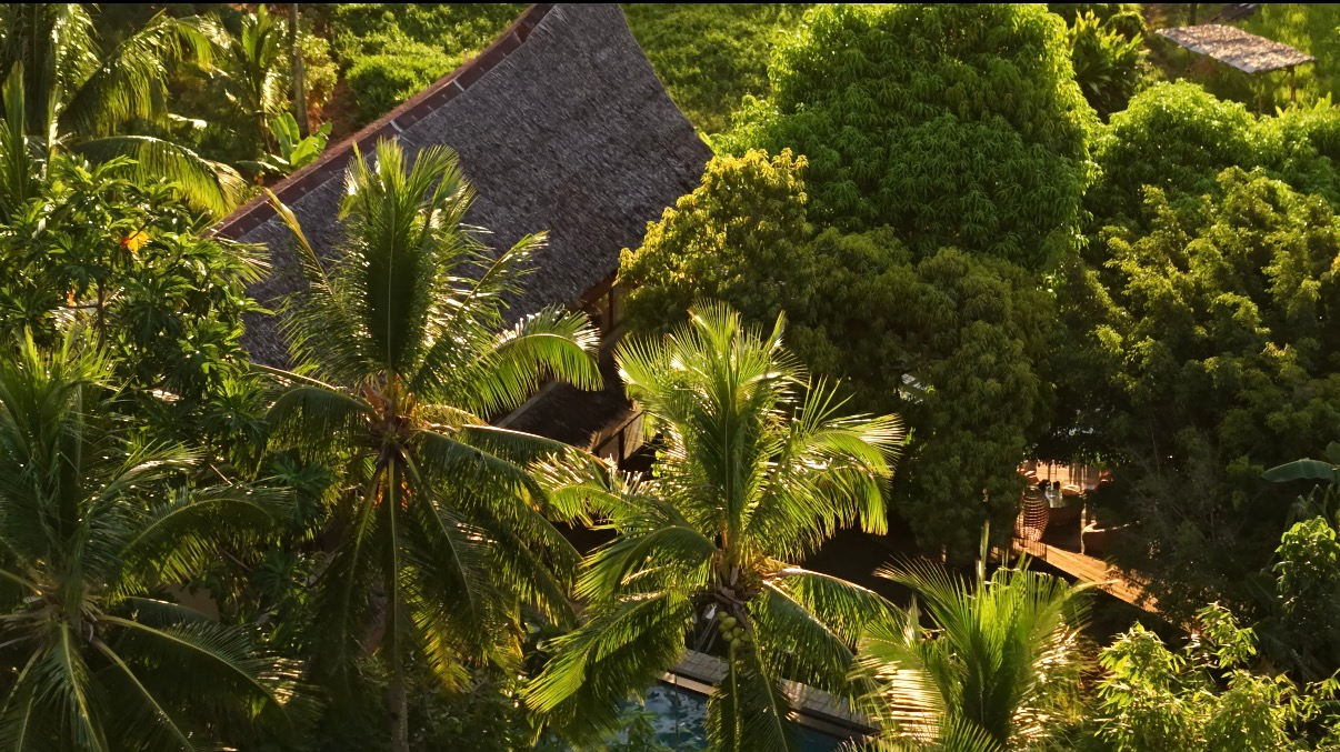 Aerial view of dense green tropical trees surrounding a dark-roofed building