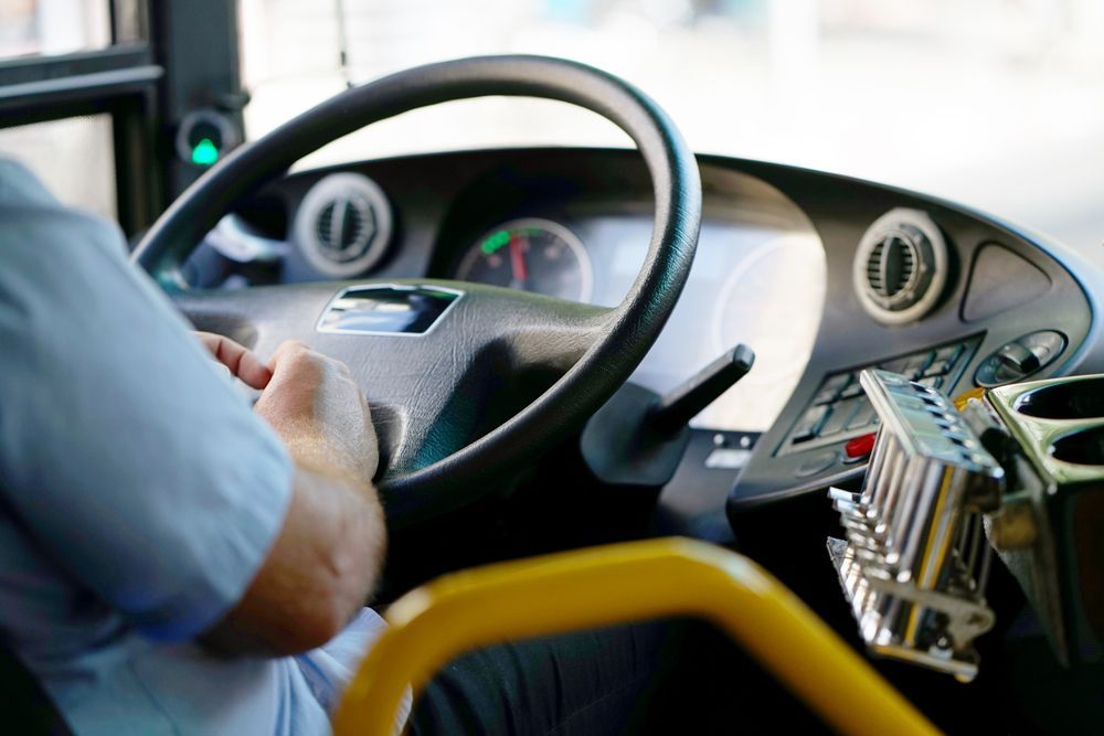 Bus Driver — Cotswold Hills, QLD — Robertson's Bus & Coaches