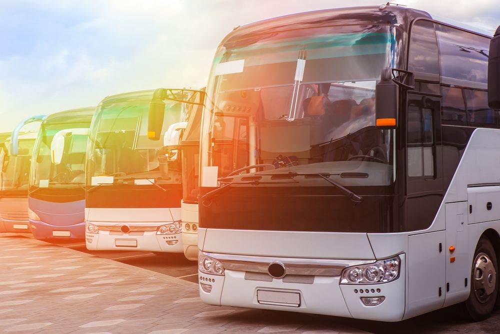 Charter Buses on Parking Area — Cotswold Hills, QLD — Robertson's Bus & Coaches