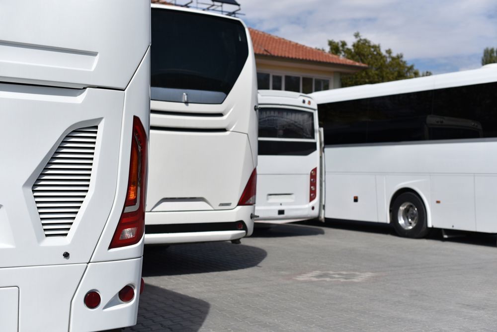 Charter — Cotswold Hills, QLD — Robertson's Bus & Coaches