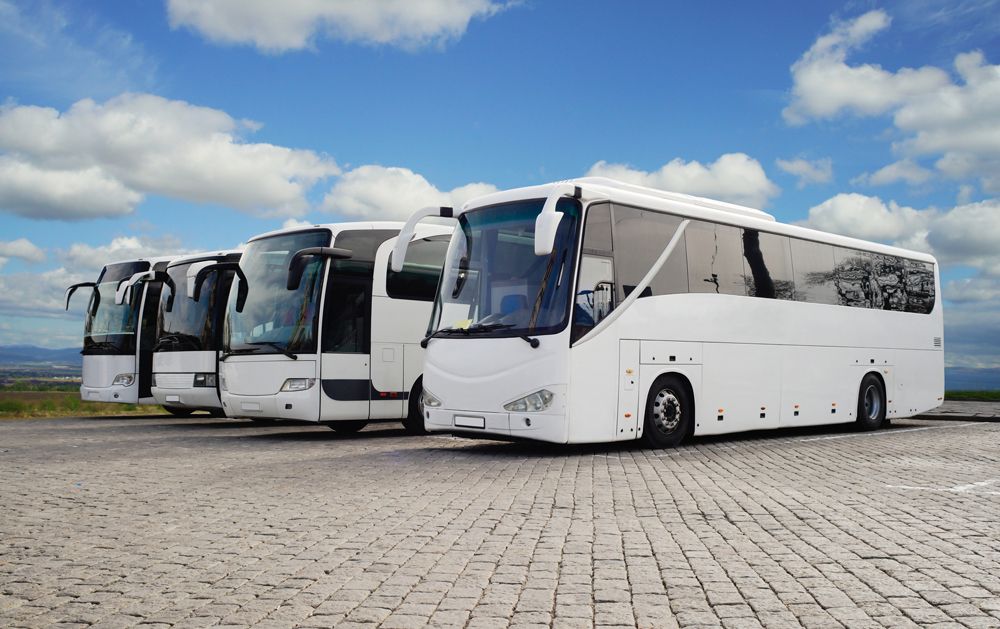 Plain White Charter Buses — Cotswold Hills, QLD — Robertson's Bus & Coaches