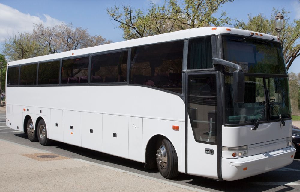 White Charter Bus — Cotswold Hills, QLD — Robertson's Bus & Coaches