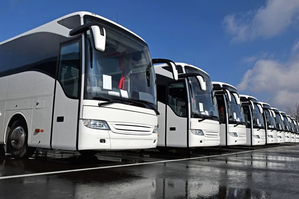 Charter Buses in a Row — Cotswold Hills, QLD — Robertson's Bus & Coaches