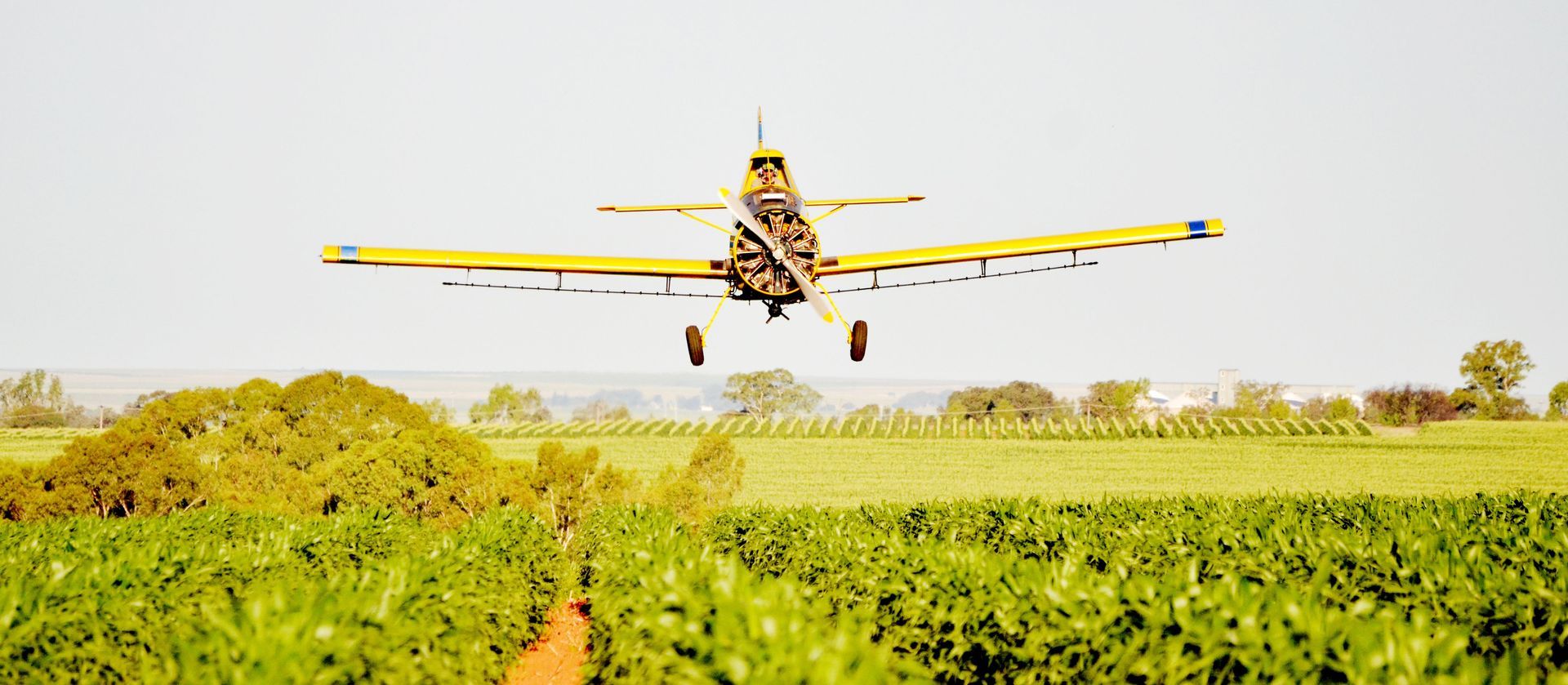 A yellow crop duster spraying a field of green crops under a sunny sky.