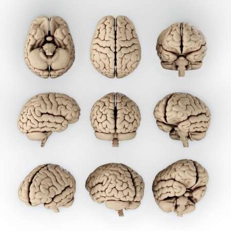 Life Care Planning Expert Witness’s Considerations of Brain Injury