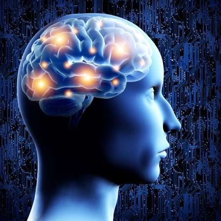 Reflecting Disabilities Associated with Brain Injury in a Life Care Plan