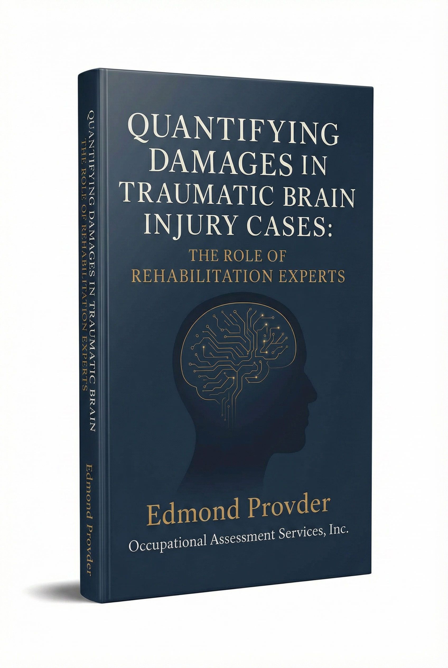 Quantifying Damages in Traumatic Brain Injury Cases: The Role of Rehabilitation Experts