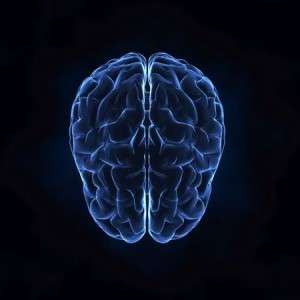 Using a Vocational Expert to document a Child’s future Lost Income in a Brain Injury Case