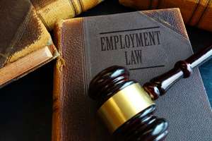 Vocational Experts are Not Economists