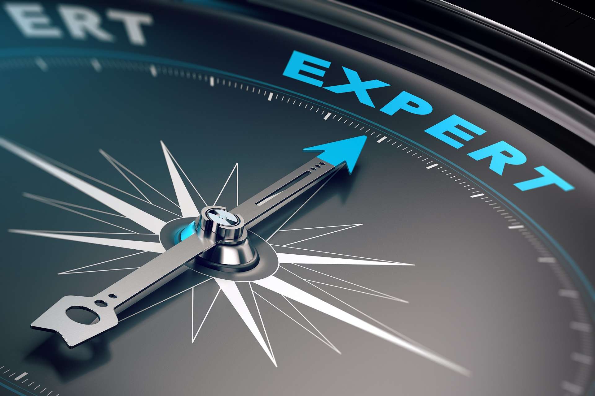 vocational expert