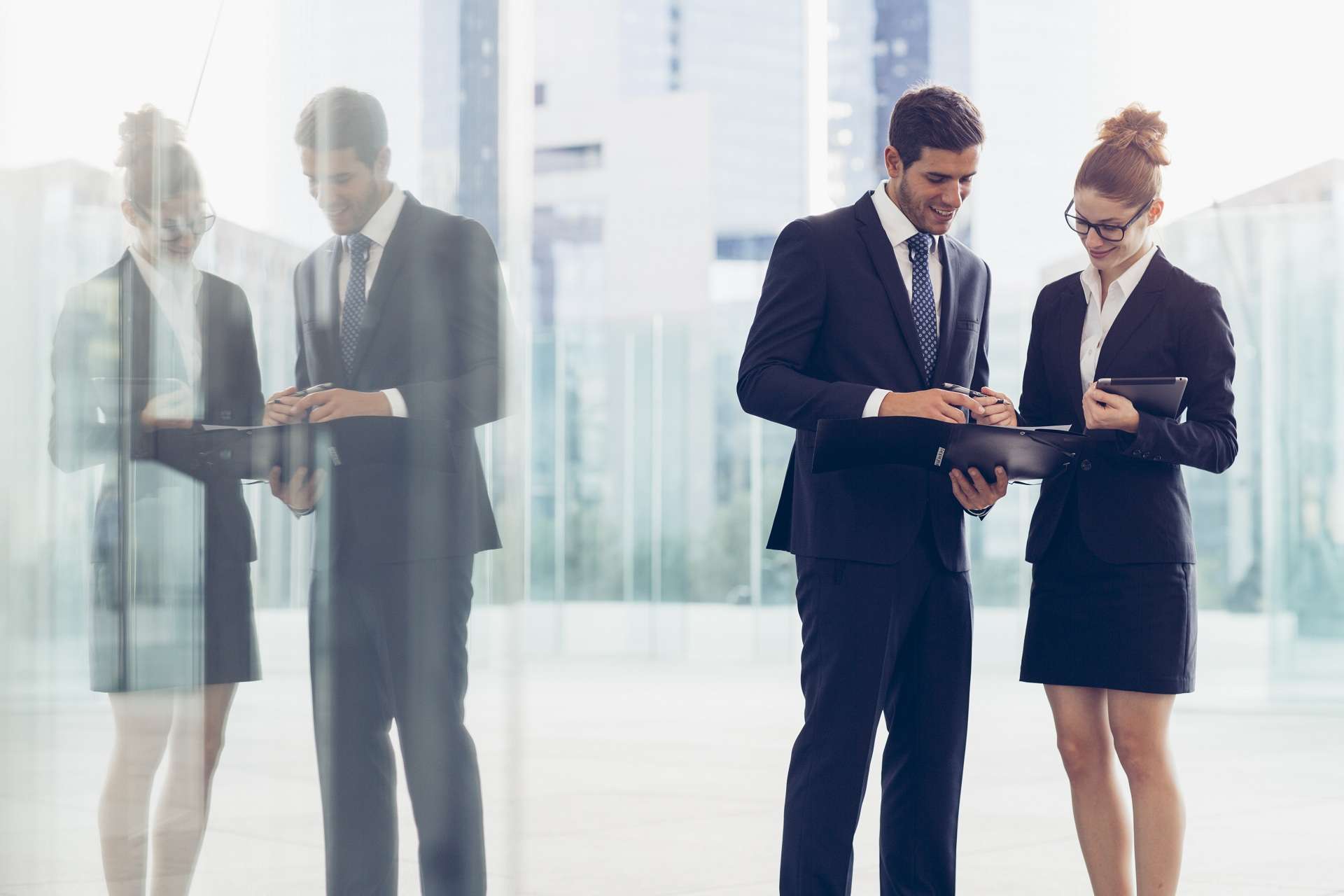 dual role of the vocational consultant