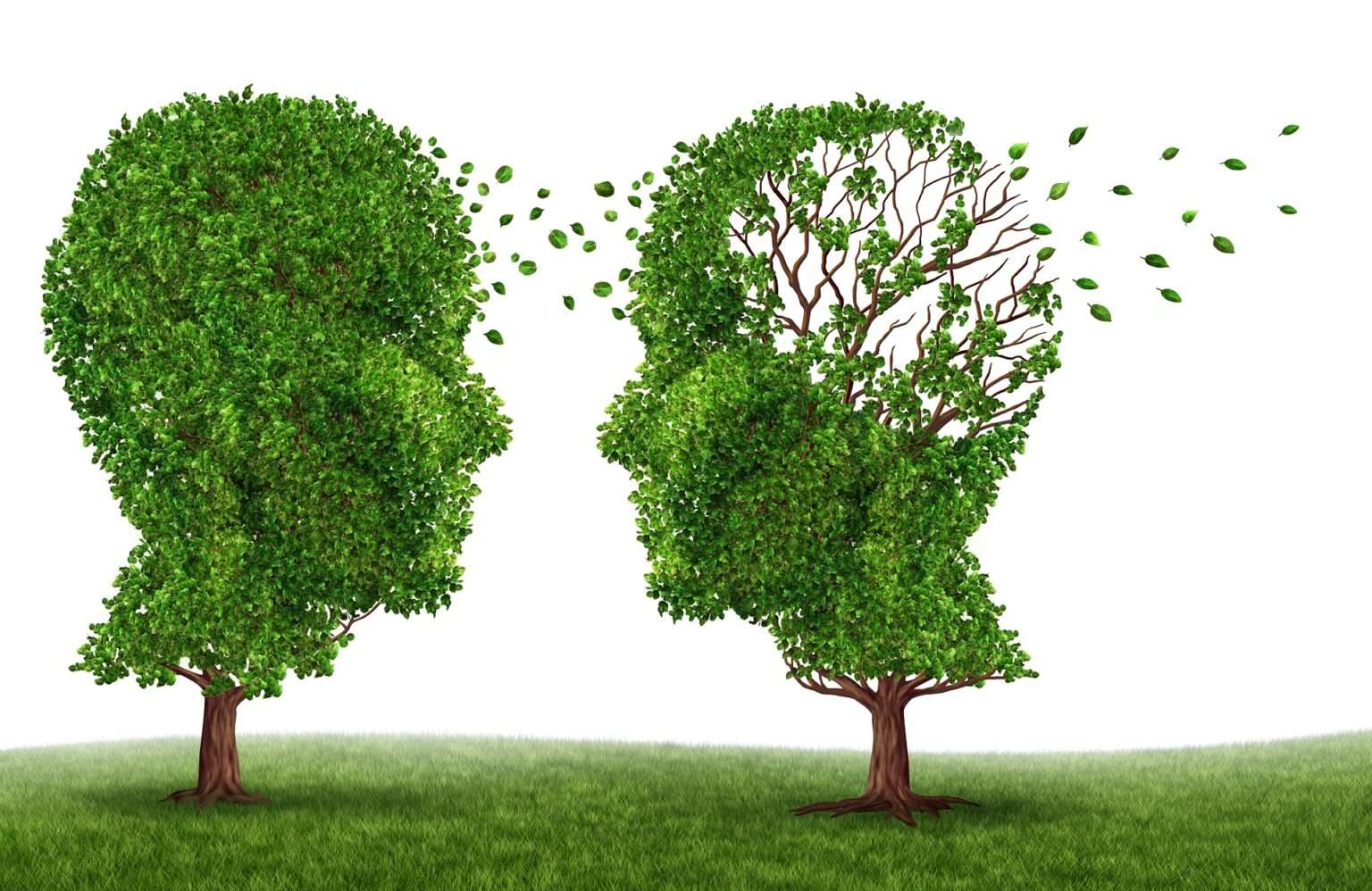 life care planner for traumatic brain injury
