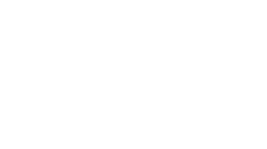 Immagine bianca vuota, priva di contenuto visibile.