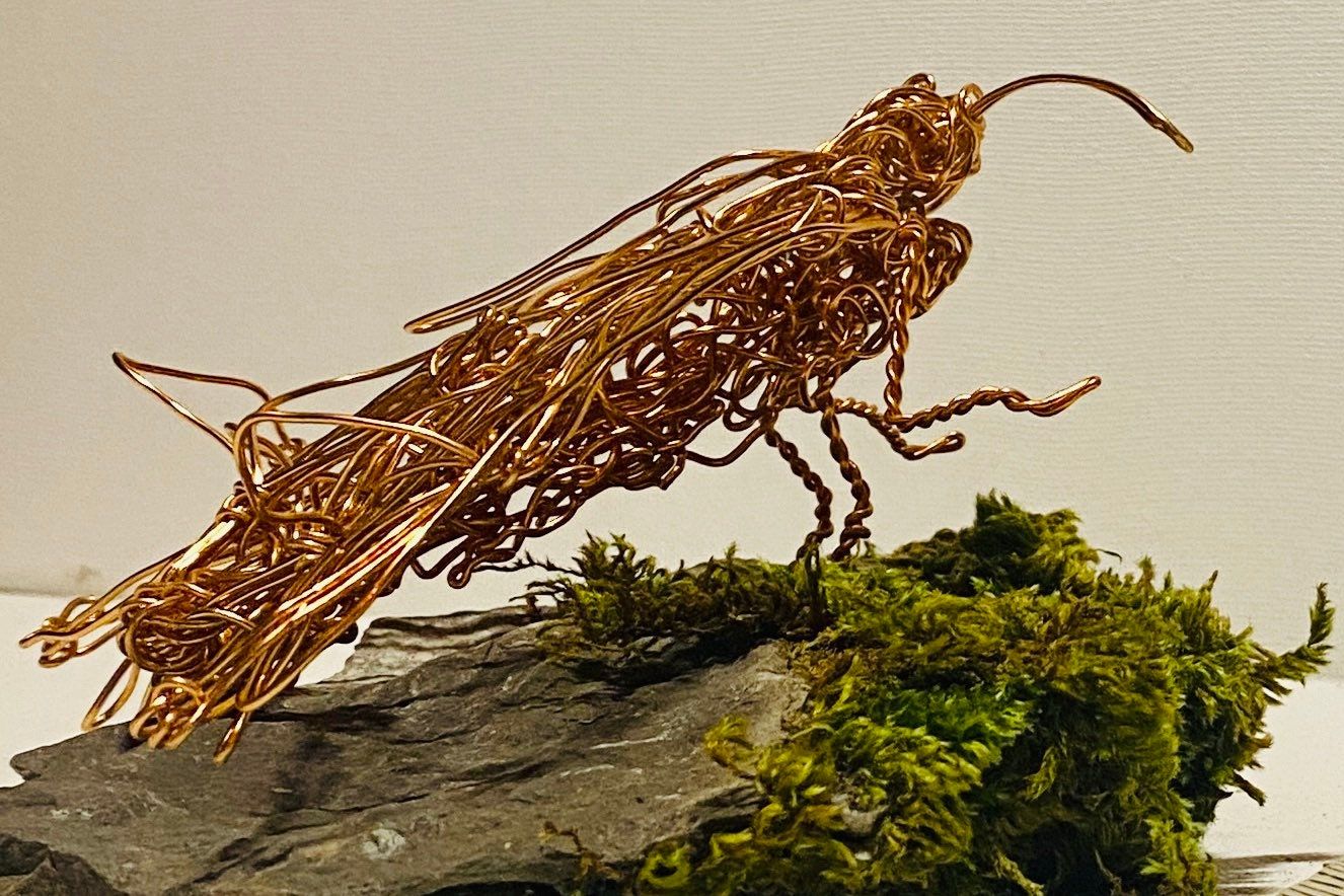 Copper wire art moth sculpture insect