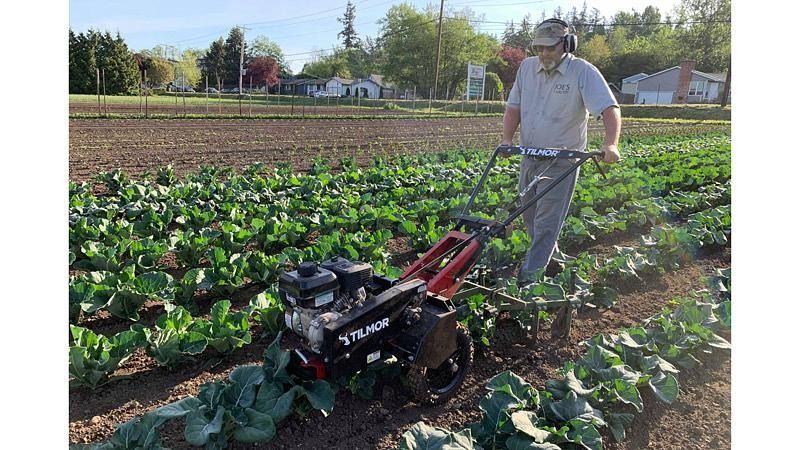 Person guiding a red tiller through a leafy field on a sunny farm